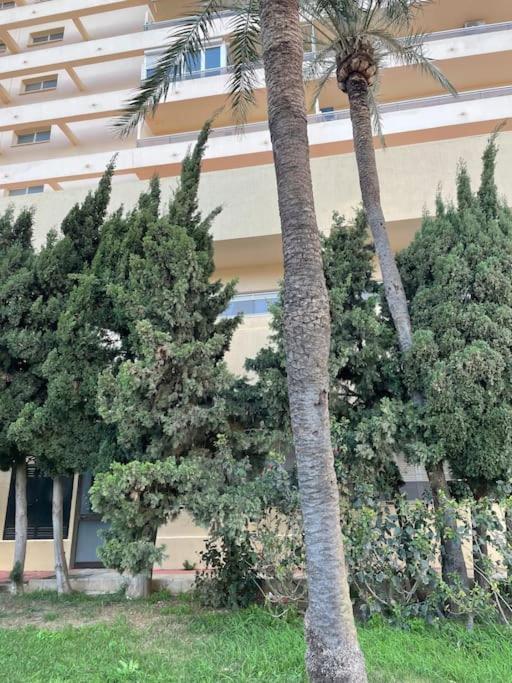 ベナルマデナKlimatyczny Loft I Egzotyczny Basenアパートメント エクステリア 写真